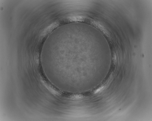 X0000073860402200608101256