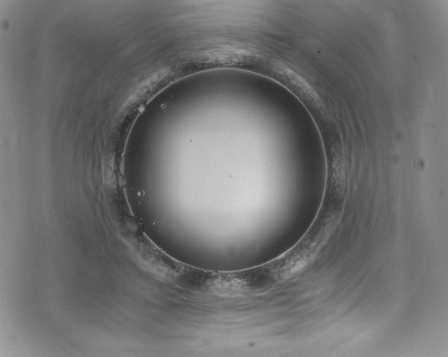 X0000073860403200608101256