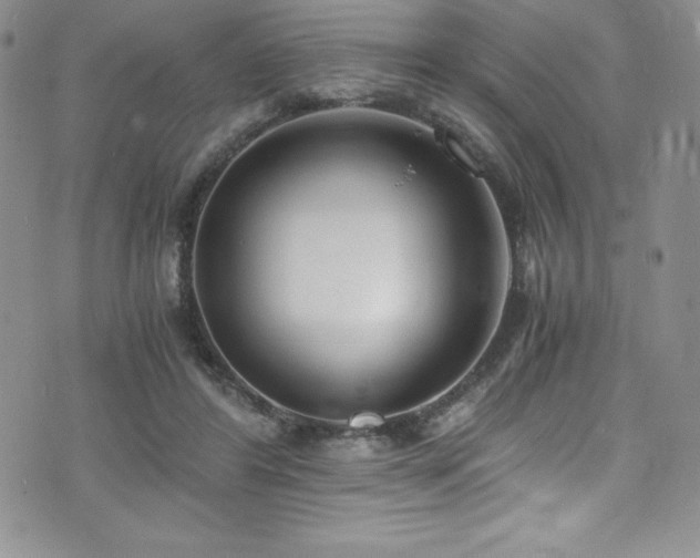 X0000073860404200608101255