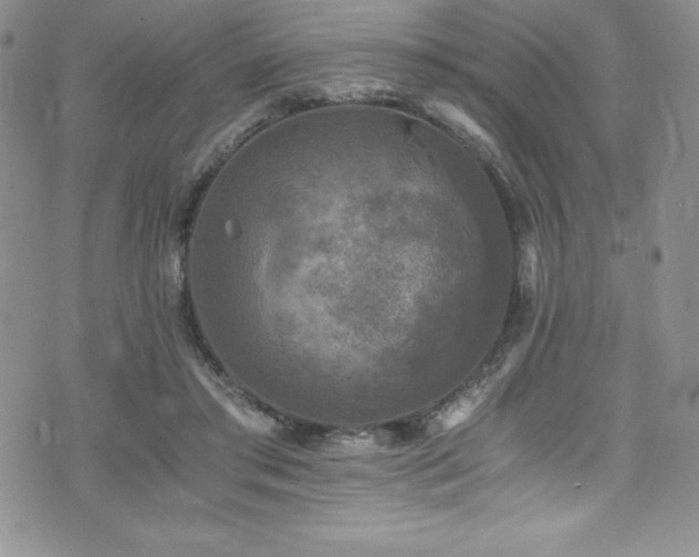 X0000073860405200608101255