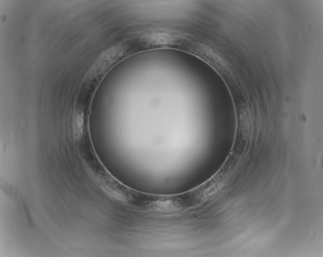 X0000073860406200608101255