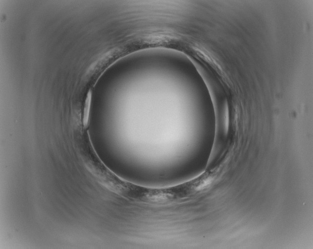 X0000073860407200608101255