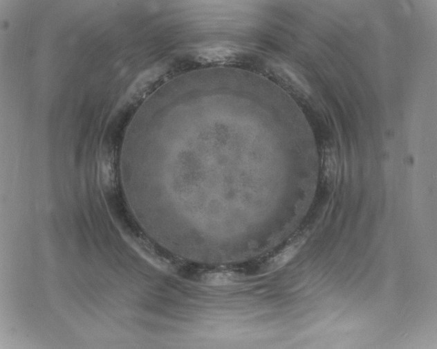 X0000073860408200608101255