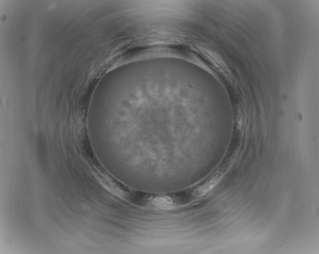 X0000073860409200608101255