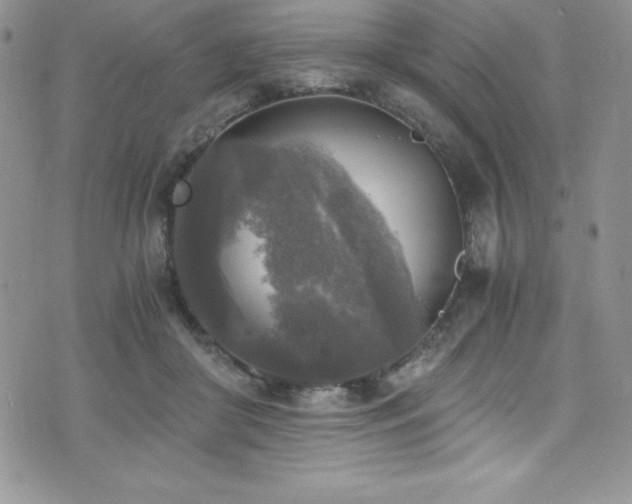 X0000073860410200608101255