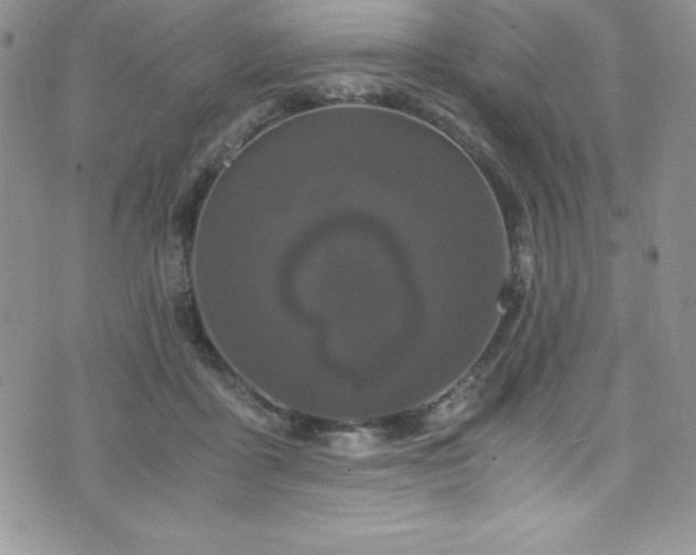 X0000073860411200608101255