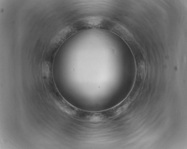 X0000073860412200608101255