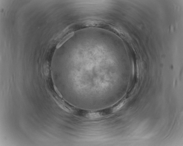 X0000073860413200608101255