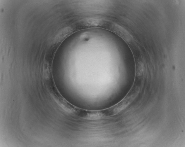 X0000073860414200608101255