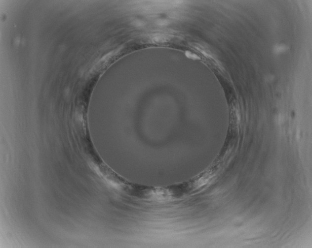 X0000073860415200608101255