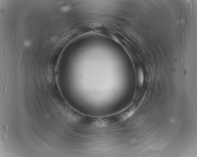 X0000073860416200608101255