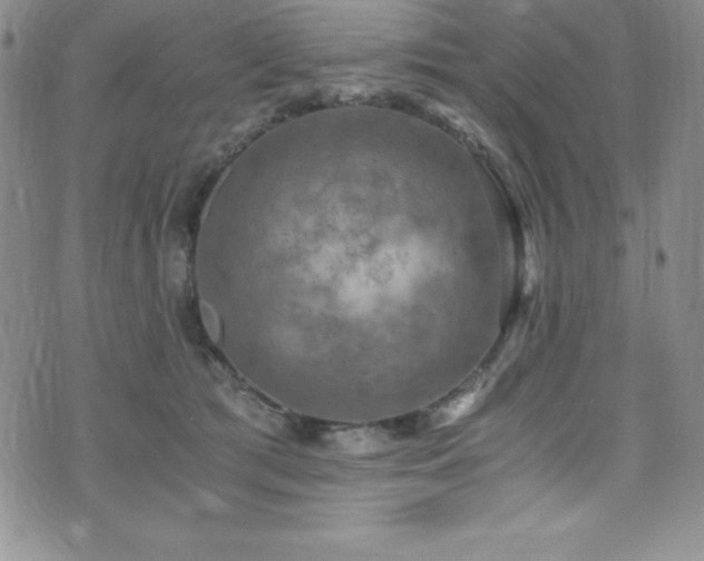 X0000073860417200608101255