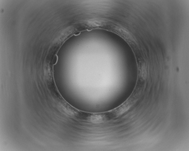 X0000073860418200608101255