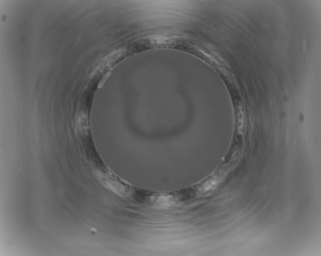 X0000073860419200608101255