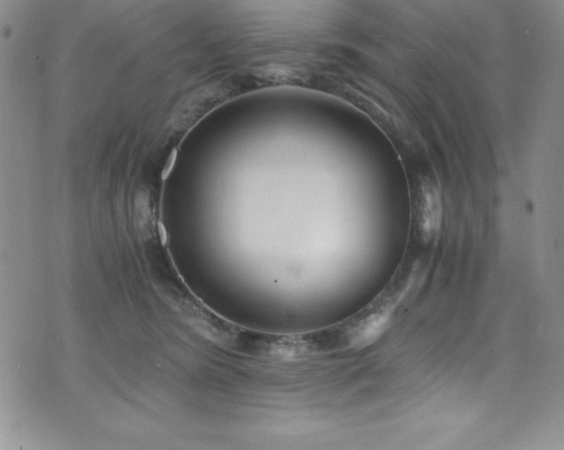 X0000073860420200608101255