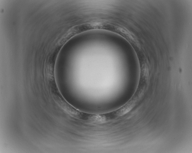 X0000073860421200608101255