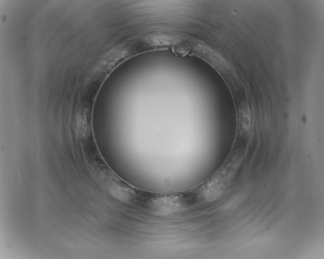 X0000073860422200608101255