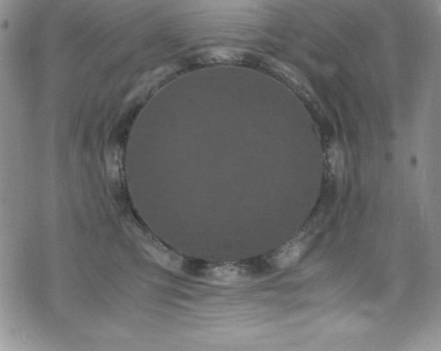 X0000073860423200608101255