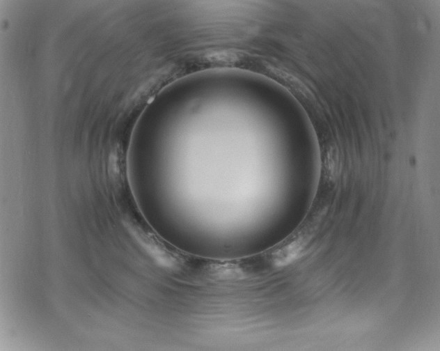 X0000073860424200608101255