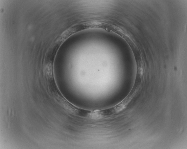 X0000073860425200608101255