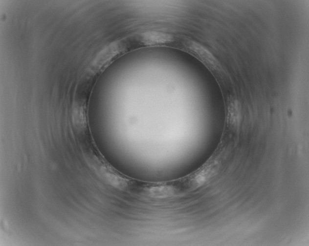 X0000073860426200608101255