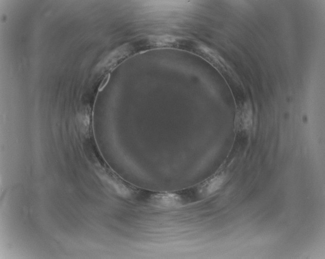 X0000073860427200608101255