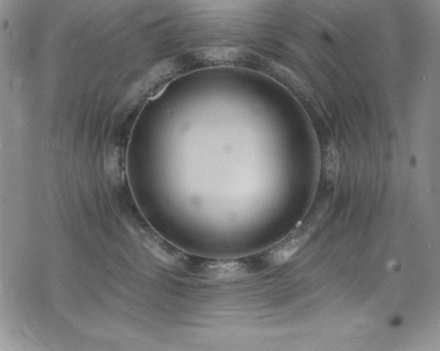 X0000073860428200608101255