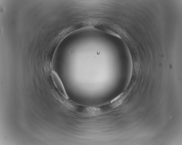 X0000073860429200608101255