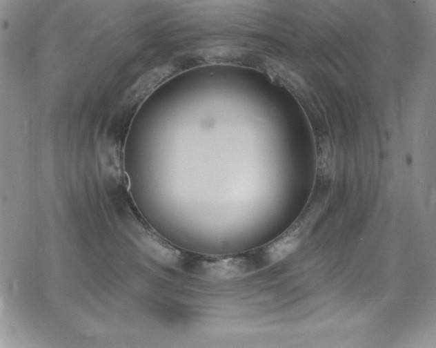 X0000073860430200608101255