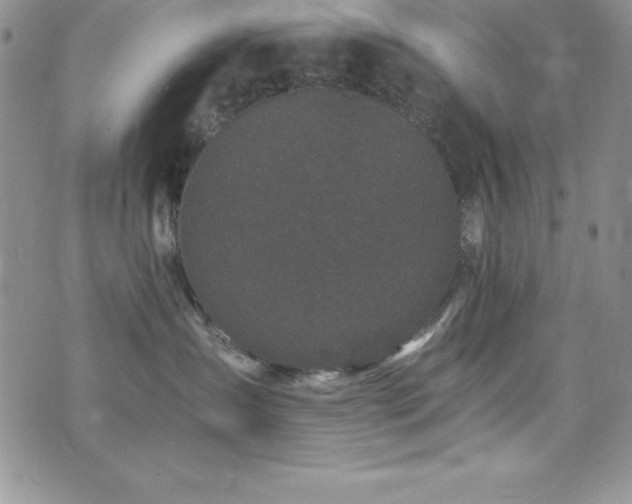 X0000073860431200608101255