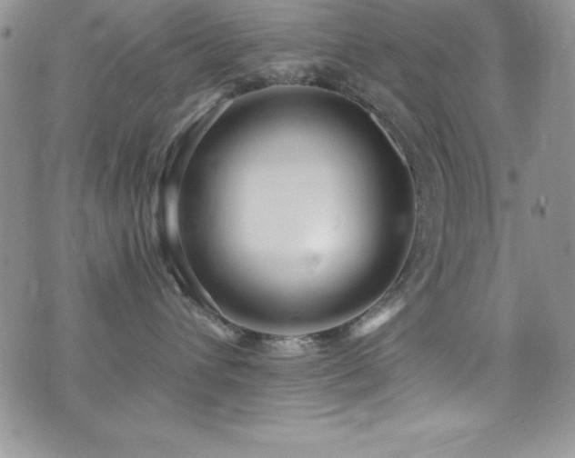 X0000073860432200608101255