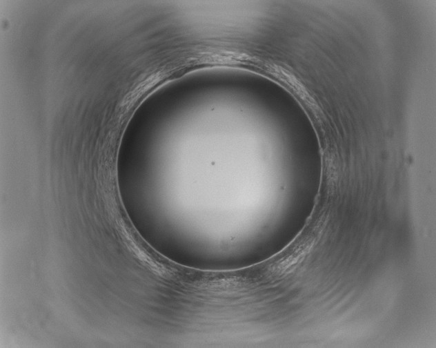 X0000073860433200608101254