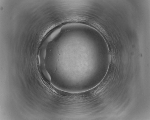 X0000073860434200608101254