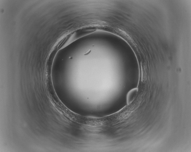 X0000073860435200608101254