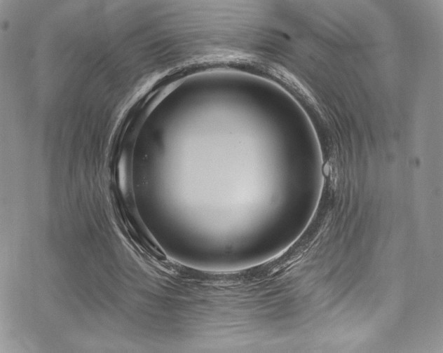 X0000073860436200608101254