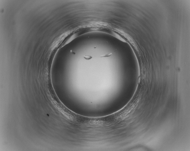 X0000073860437200608101254