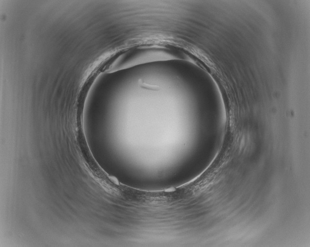 X0000073860438200608101254