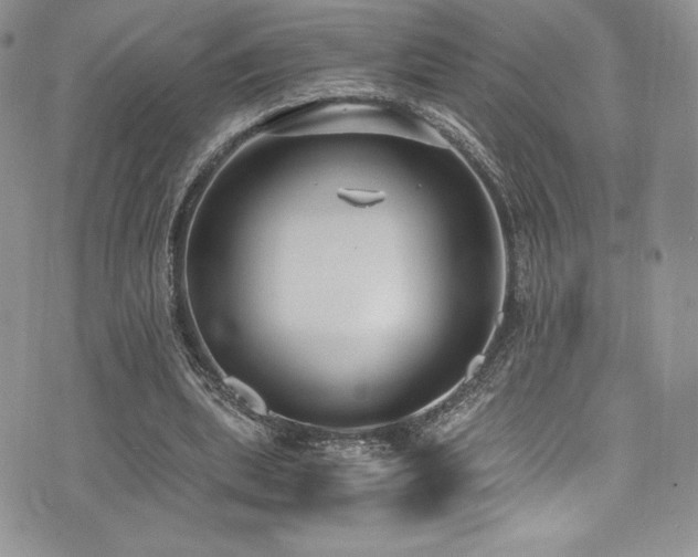 X0000073860439200608101254