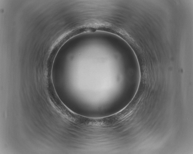 X0000073860440200608101254