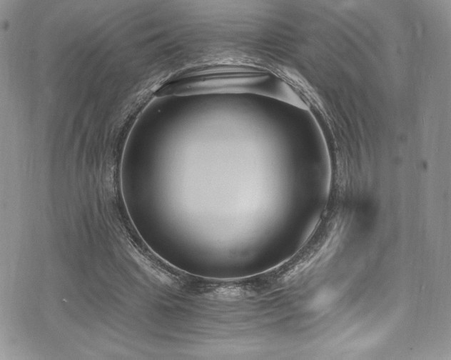 X0000073860441200608101254