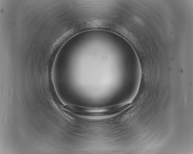 X0000073860442200608101254