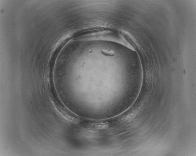 X0000073860443200608101254