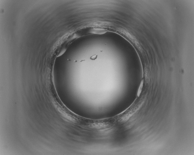 X0000073860445200608101254