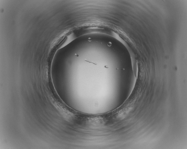 X0000073860446200608101254