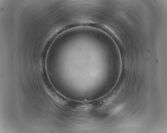 X0000073860447200608101254