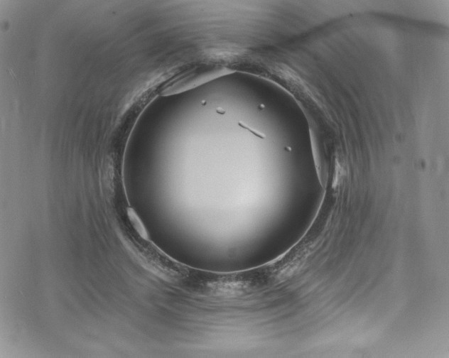 X0000073860448200608101254