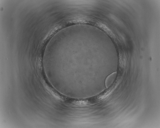 X0000073860449200608101254