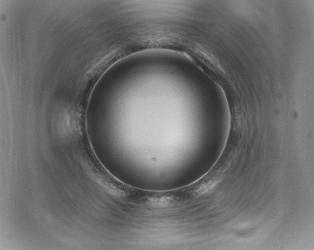 X0000073860450200608101254