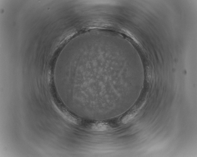 X0000073860451200608101254