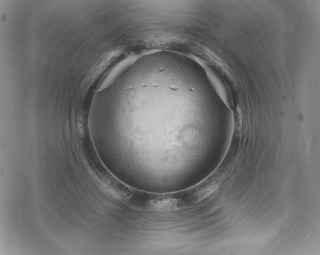 X0000073860452200608101254